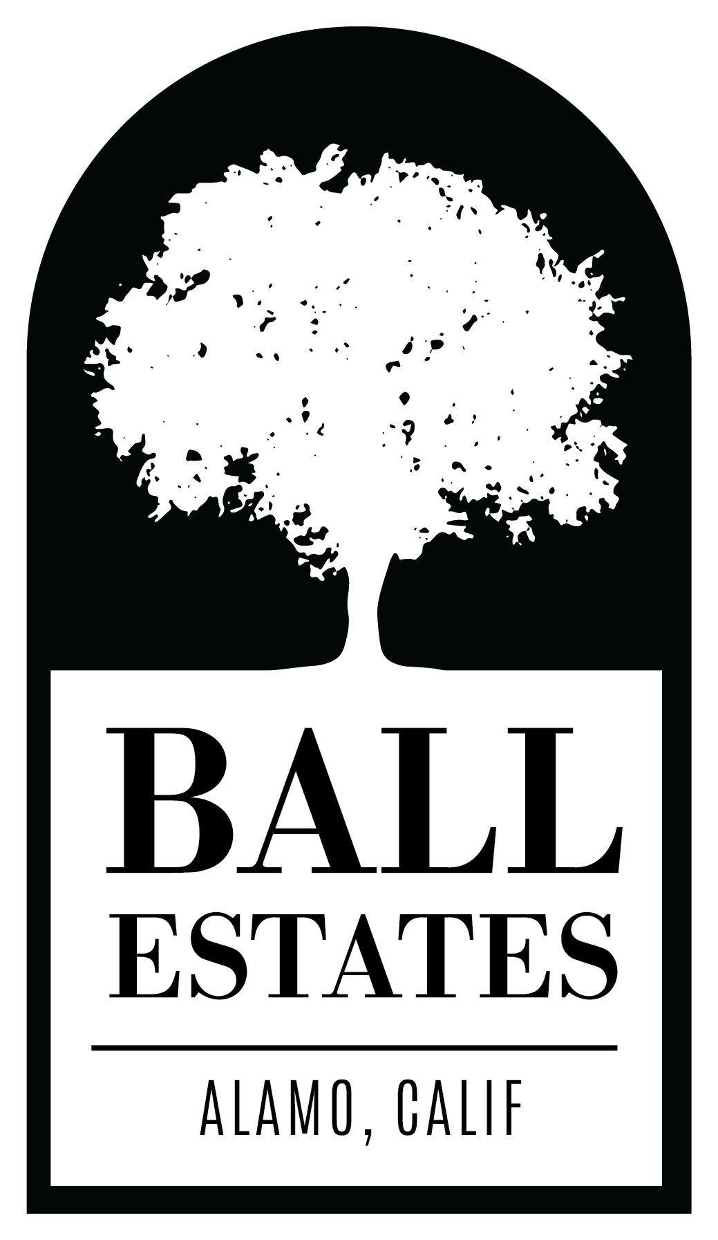 Branagh Development